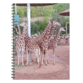 Groep Notitieboek #2