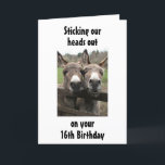 GROEP OF COUPLE DONKEY HAPPY *16th* Birthday Kaart<br><div class="desc">FUN om zowel een paar of twee vrienden of familieleden die samen HAPPY kunnen zeggen ***16th Birthday** naar iedereen te sturen en als groep te ontvangen. Bedankt voor een van mijn acht winkels.!!!</div>