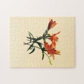 Groep Oranje Lilies Legpuzzel (Horizontaal)