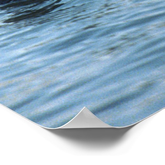 Groep Otters van Zee Poster (Hoek)