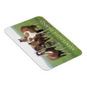 Groep paarden, Assateague National Seashore Magneet (Rechterzijde)