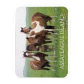 Groep paarden, Assateague National Seashore Magneet (Verticaal)