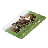 Groep paarden, Assateague National Seashore Magneet (Linkerzijde)