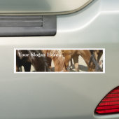 Groep paarden bumpersticker (Op auto)