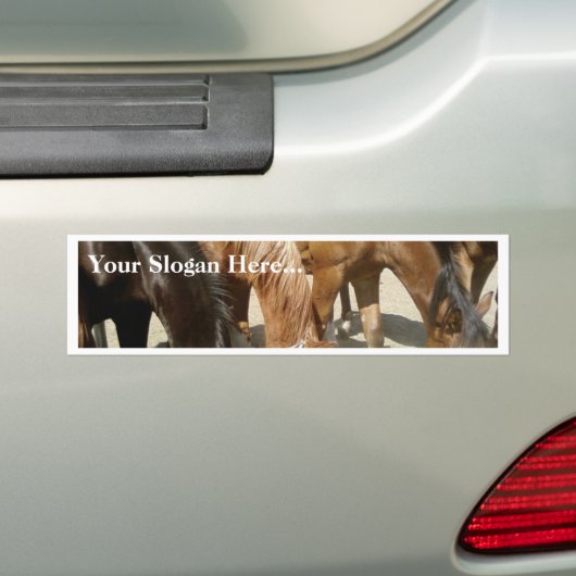 Groep paarden bumpersticker (Op auto)