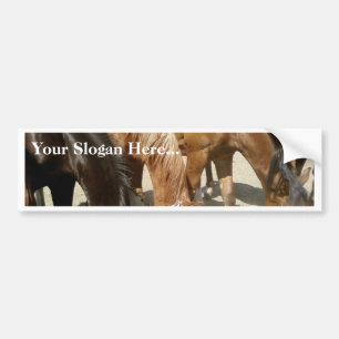 Groep paarden bumpersticker