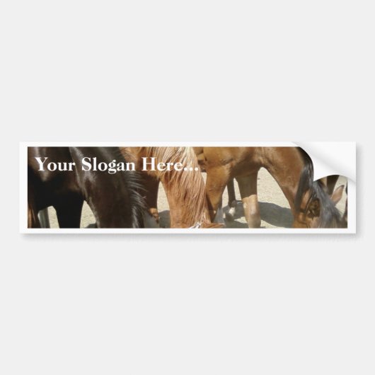 Groep paarden bumpersticker (Voorkant)