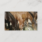 Groep paarden visitekaartje (Achterkant)