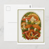 groep paddenstoelen briefkaart (Voorkant / Achterkant)