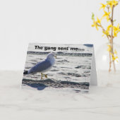 GROEP PARTIJ SEAGULL HUMOR-BIRTHDAY KAART (Gele Bloem)