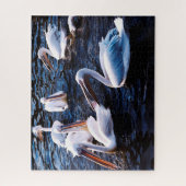 Groep Pelikanen, Jigzaag Puzzle Legpuzzel (Verticaal)