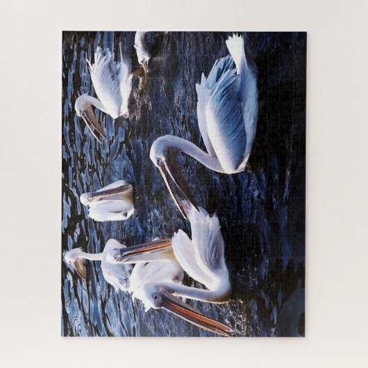 Groep Pelikanen, Jigzaag Puzzle Legpuzzel (Verticaal)