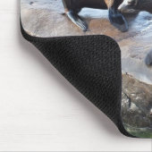 Groep pelszegels muismat (Hoek)