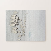 Groep pinguïns legpuzzel (Horizontaal)