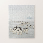 Groep pinguïns legpuzzel (Verticaal)