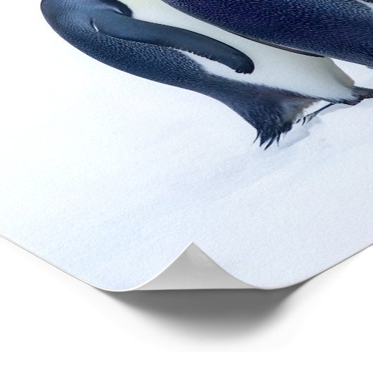 Groep Pinguïns Poster (Hoek)