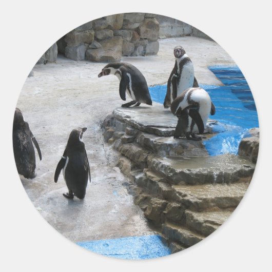 Groep pinguïns ronde sticker (Voorkant)
