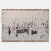 Groep Pintail Ducks Gather en Swims in een meer Deken (Voorkant)