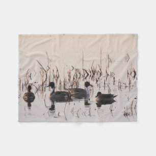 Groep Pintail Ducks Gather en Swims in een meer Fleece Deken