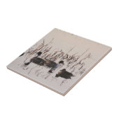 Groep Pintail Ducks Gather en Swims in een meer Tegeltje (Zijkant)