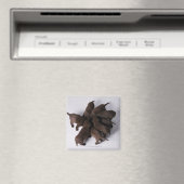 Groep puppies met hoofden magneet (Insitu (Vaatwasser))