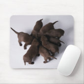 Groep puppies met hoofden muismat (Met muis)