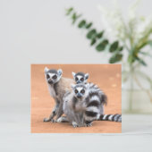 Groep Ringstaartmaki's Briefkaart (Staand voorkant)