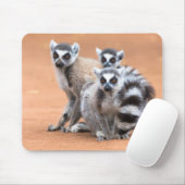 Groep Ringstaartmaki's Muismat (Met muis)