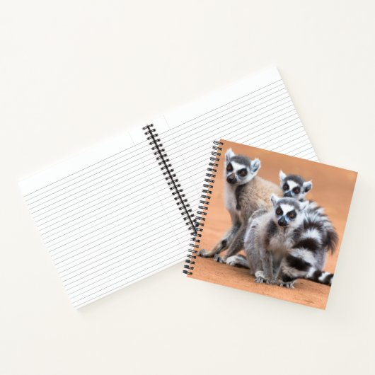 Groep Ringstaartmaki's Notitieboek (Binnen)
