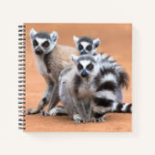 Groep Ringstaartmaki's Notitieboek (Voorkant)