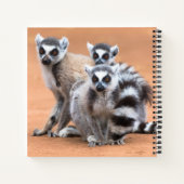 Groep Ringstaartmaki's Notitieboek (Achterkant)