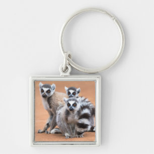 Groep Ringstaartmaki's Sleutelhanger