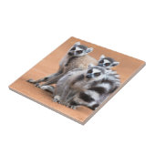 Groep Ringstaartmaki's Tegeltje (Zijkant)