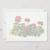 Groep Rode Geraniums Kaart (Achterkant)