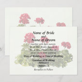 Groep Rode Geraniums Kaart (Voorkant / Achterkant)