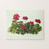 Groep Rode Geraniums Legpuzzel (Horizontaal)