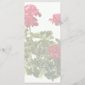 Groep Rode Geraniums Menu (Achterkant)