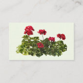 Groep Rode Geraniums Visitekaartje (Achterkant)