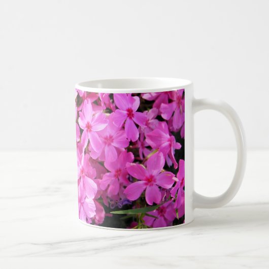 Groep roze Phlox Koffiemok (Rechts)