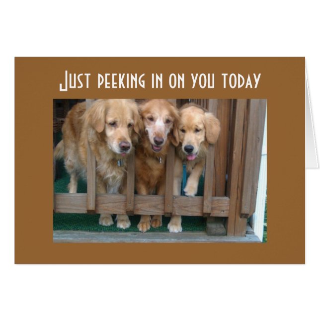 GROEP SAYS RUN ROND CHASE TAIL (Voorkant Horizontaal)