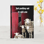 "GROEP SCHAPEN" WENS JE *VROLIJK KERSTFEEST* KAART (Gele Bloem)