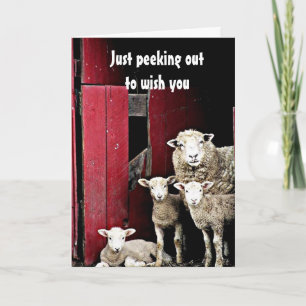 "GROEP SCHAPEN" WENS U *MERRY CHRISTMAS* KAART