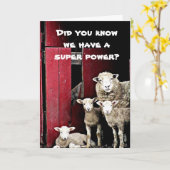 "GROEP SCHAPEN" WENST U "GELUKKIGE VERJAARDAG" KAART (Gele Bloem)