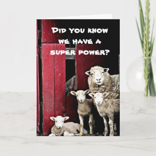 "GROEP SCHAPEN" WENST U "GELUKKIGE VERJAARDAG" KAART