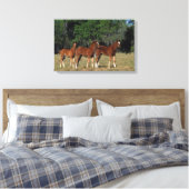 Groep Thoroughbred Foals Canvas Afdruk (Insitu (Slaapkamer))
