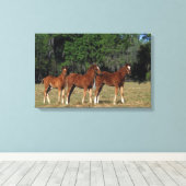Groep Thoroughbred Foals Canvas Afdruk (Insitu (Houten vloer))