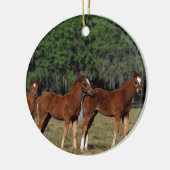 Groep Thoroughbred Foals Keramisch Ornament (Links)