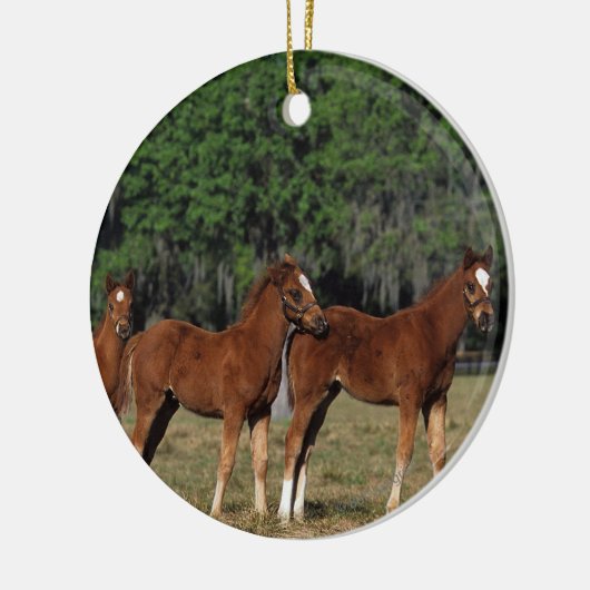 Groep Thoroughbred Foals Keramisch Ornament (Links)
