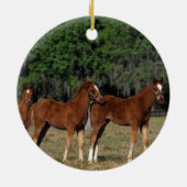 Groep Thoroughbred Foals Keramisch Ornament (Achterkant)