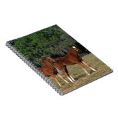 Groep Thoroughbred Foals Notitieboek (Rechterzijde)